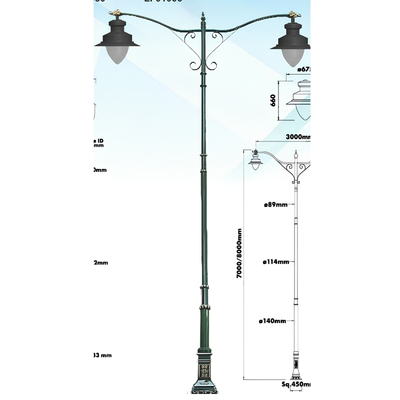LI-8246-BKT 06-91006 Decorative Outdoor Pole Light